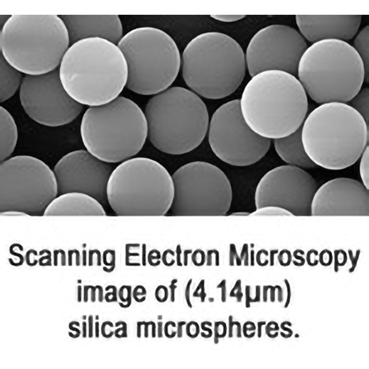 Silica Microspheres, 0.30μm - Polysciences