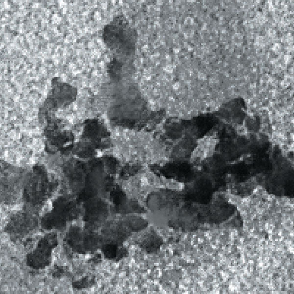BioMag®Plus Carboxyl Protein Coupling Kit