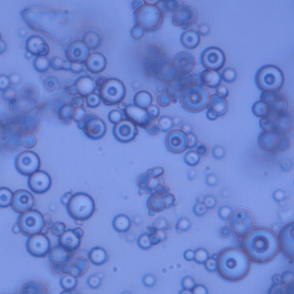 Glass Beads (150 - 210μm) - Polysciences