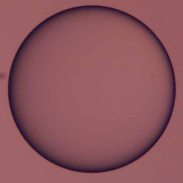 Polystyrene Beads, Large (200-300μm)