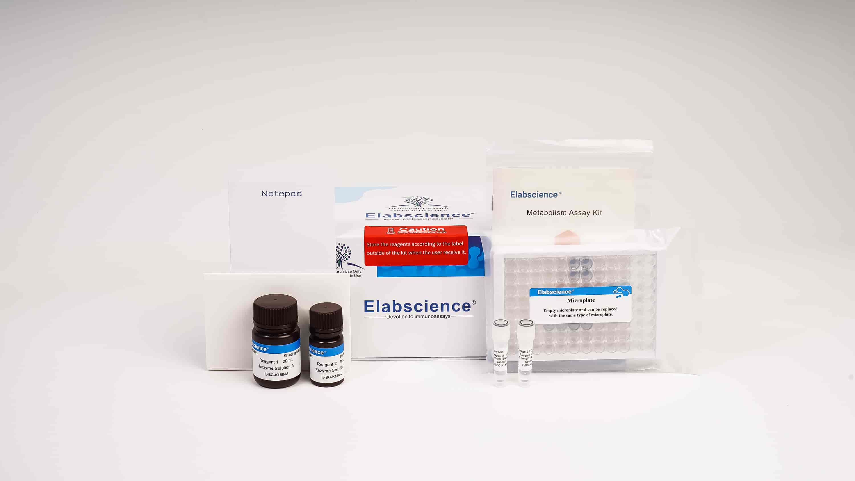 NAD-Malate Dehydrogenase (NAD-MDH) Activity Assay Kit - small - 3
