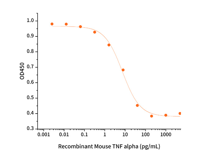 Recombinant Mouse TNF-alpha/TNFA Protein - small - 2