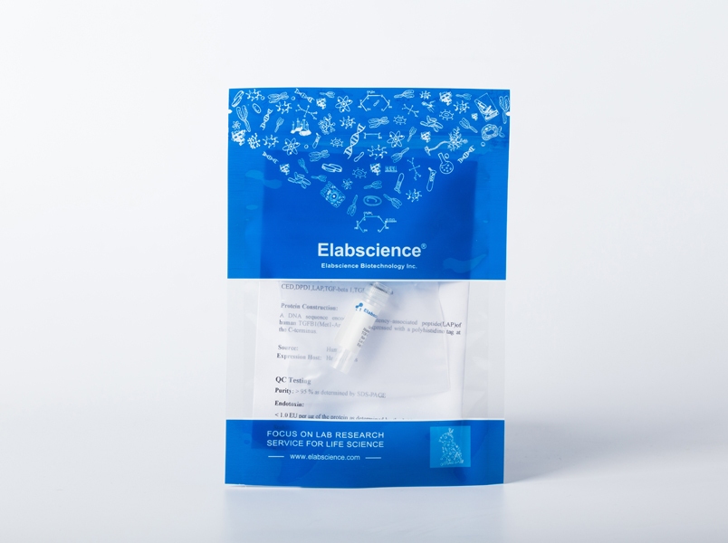 Recombinant Mouse TNF Receptor II/TNF RII/TNFRSF1B/CD120b (C-Fc) - small - 2