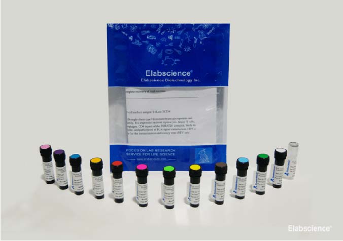 PE/Cyanine7 Anti-Mouse CD8a Antibody[53-6.7] - small - 2