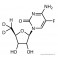 5-dfcr-d2 (deoxy-5-fluorocytidine-d2)