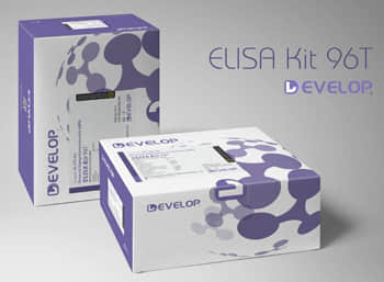 Mouse Epidermal Growth Factor (EGF) ELISA Kit