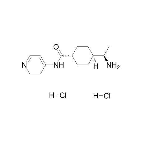 Y27632 2 HCl Y27632 2 HCl