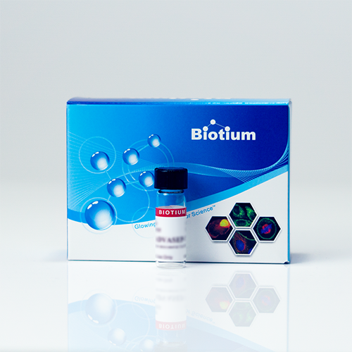 Biotin-X, succinimidyl ester