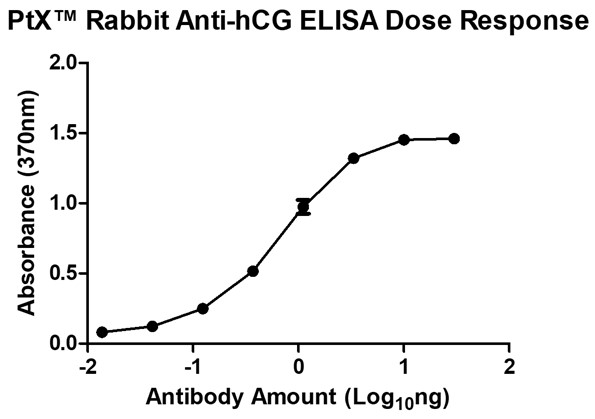 Rabbit Anti-hCG