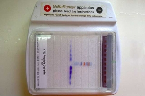GeBA-Gel-runner