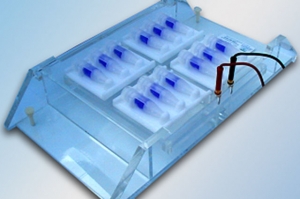 GeBA flex Tube High Throughput Electroelution GeBA flex Tube High Throughput Electroelution