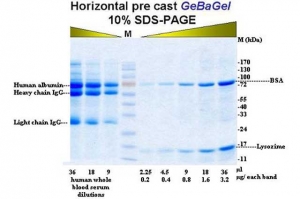 horizontal-pre-cast-geba-gel