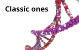 Classical RNA extraction kits