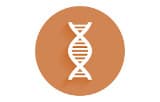 DNA polymerases for Fast PCR