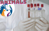 Customized animal samples for your research