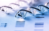 Molecular Combing