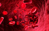  Hematological diseases
