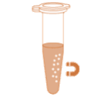 Viral RNA extraction - Magnetic beads