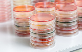 Petri dishes for microbiology