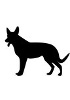 Anti-Dog