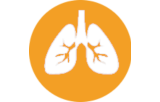 Primary antibodies for immunohistochemistry CE/IVD - Pulmonary pathology