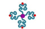 SARS-CoV-2 - Tetramer kits for research and development