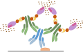 Immunohistochemistry protocol - Avidin/Biotin Method (ABC)