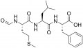 Custom service : Peptide synthesis