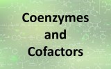 Coenzymes and cofactors