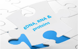 gDNA, RNA and proteins