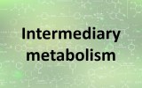 Intermediary metabolism Assay Kits