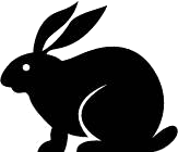 SARS-CoV-2 (2019-nCoV) Spike Antibody, Rabbit mAb