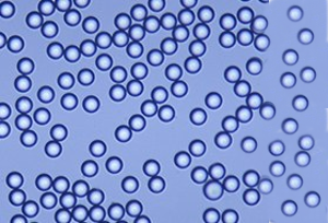 Microspheres, Beads and Particles