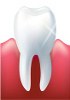 Oral system