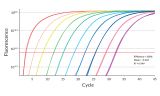 NGS Library quantification products