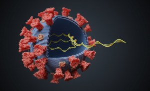 Viral RNA extraction kits for Coronavirus applications